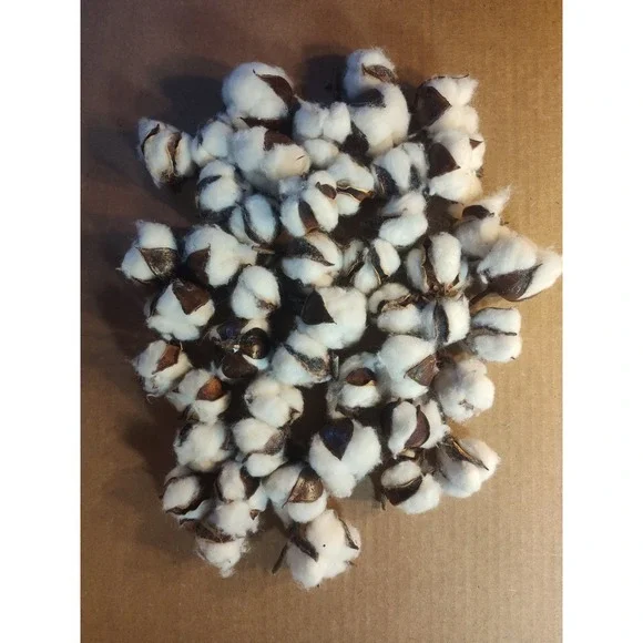 Real Cotton Balls Decor 40+ Pieces For Wreath Decor Cotton Bolls Balls‎ Natural - Picture 7 of 7